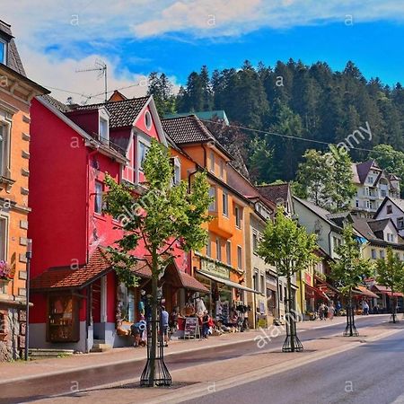Dm Apartment Triberg im Schwarzwald Kültér fotó